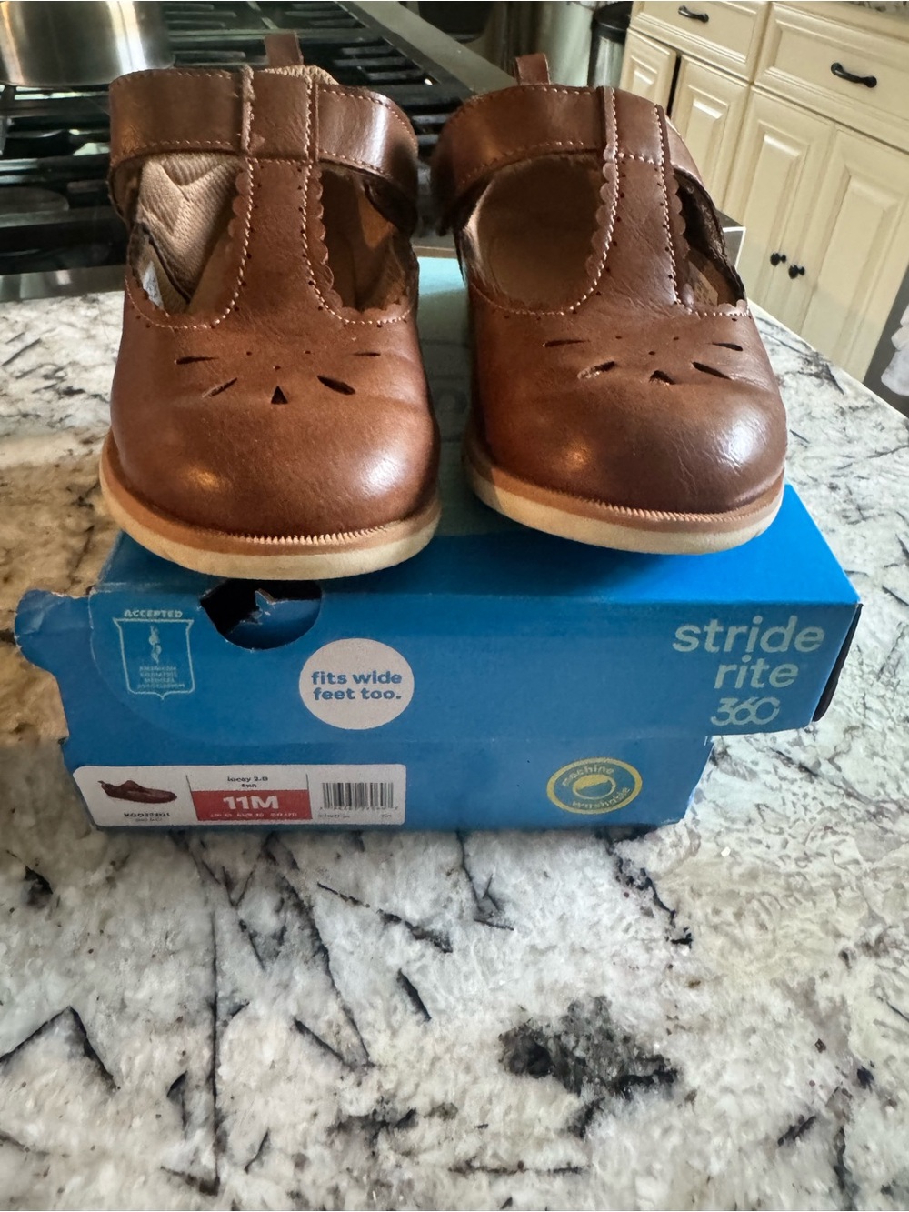 Stride Rite Brown T-Strap Mary Jane Kids Shoes
